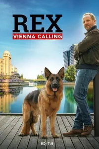 сериал Комиссар Рэкс: Перезапуск