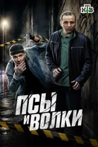 сериал Псы и волки